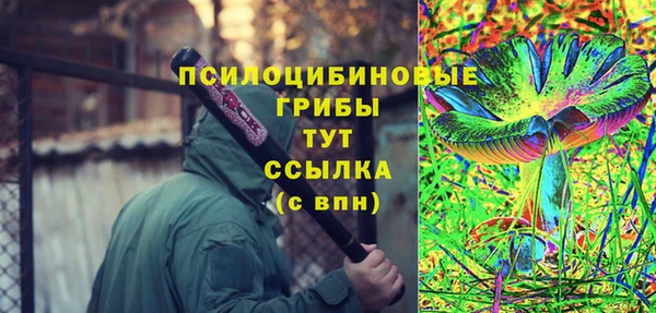 скорость Богородск