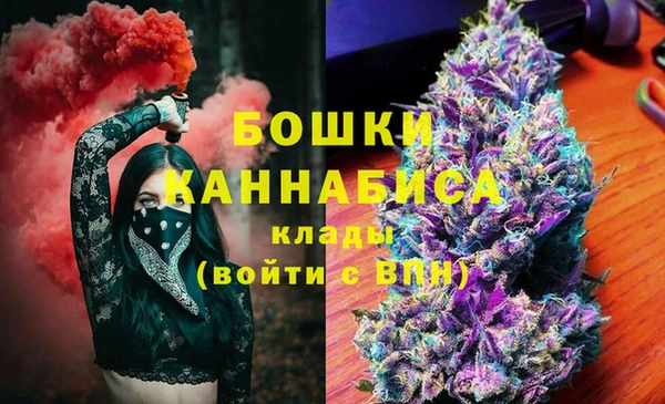 трава Аркадак