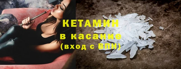 трава Аркадак