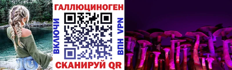 hydra онион  Голицыно  Псилоцибиновые грибы Psilocybe 